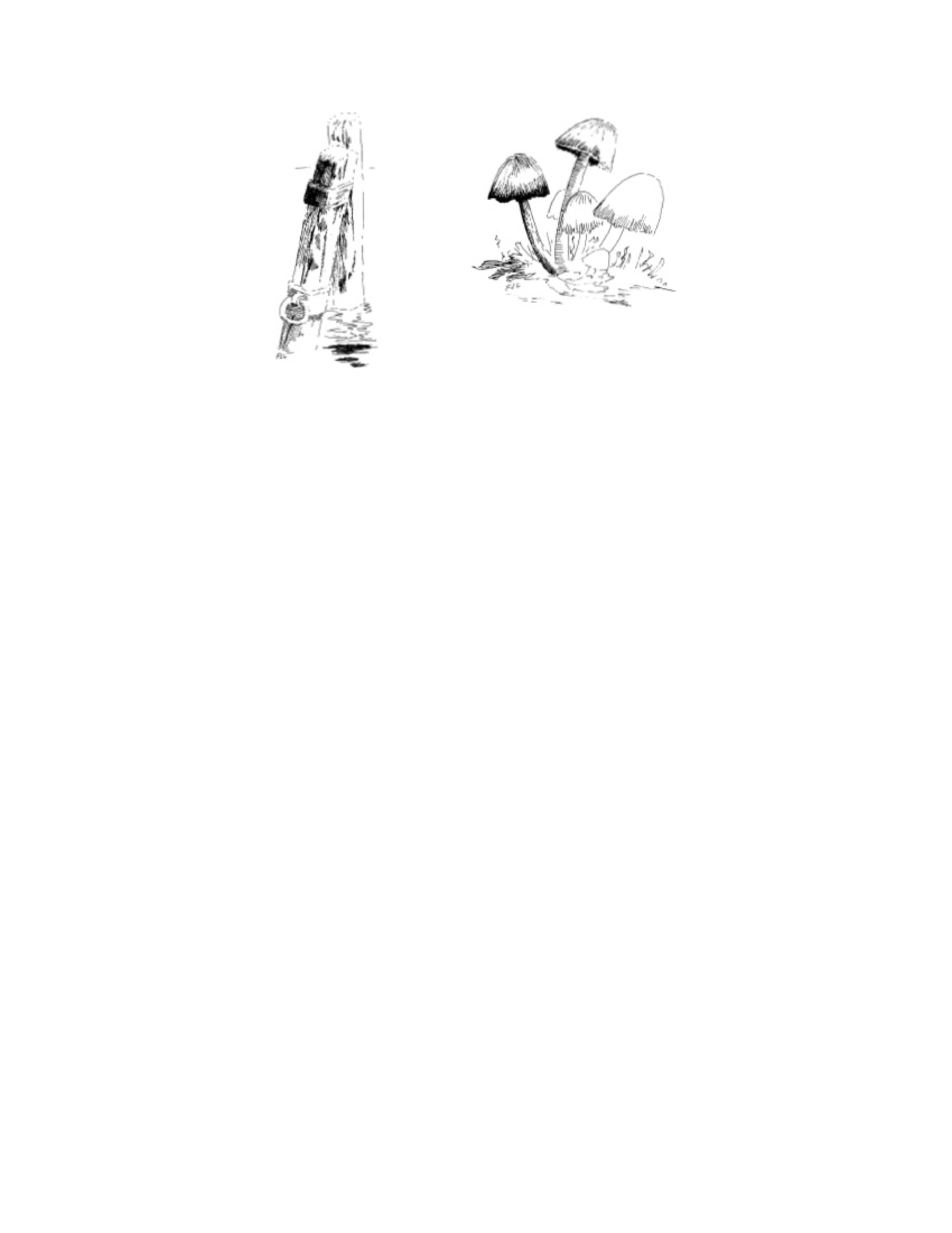 آموزش نقاشی طراحی سیاه قلم شهرری